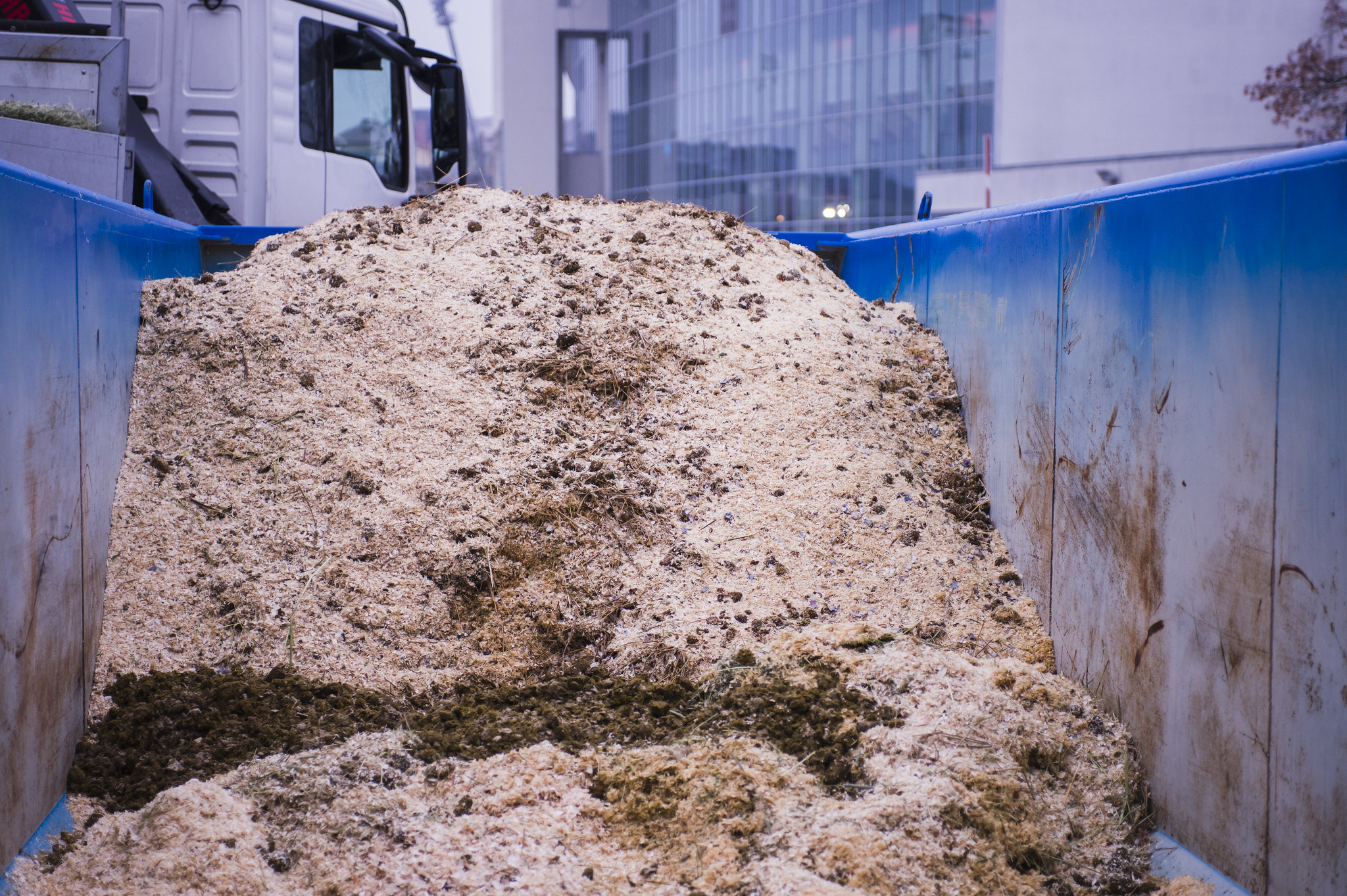 Natural horse power provides heat and electricity to Helsinki ©Fei Satu Pirinen