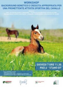Background genetico e crescita appropriata per una promettente attività sportiva del cavallo 7 novembre 11:30 PAD. 4- STAND D7)