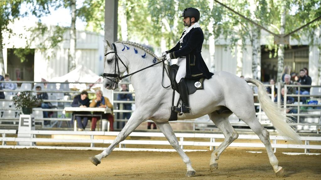 Silver Massarenti e Habibi Angelus, campioni d’Europa: e che storia dietro questa vittoria
