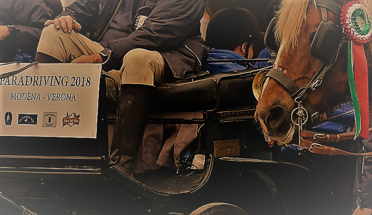 Da Modena a Fieracavalli Verona con  Paradriving 2019