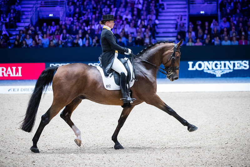 For the third consecutive year at the French fixture, the phenomenal German star Isabell Werth steered the bay gelding Emilio to victory in the FEI Dressage World Cup™ 2019/2020 Western European League qualifier at Lyon © FEI / Eric KNOLL