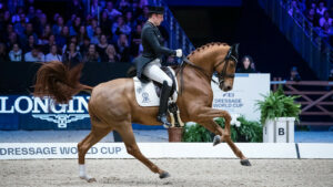 Fredric Wandres e Duke of Britain (80.015%) © FEI / Eric Knoll