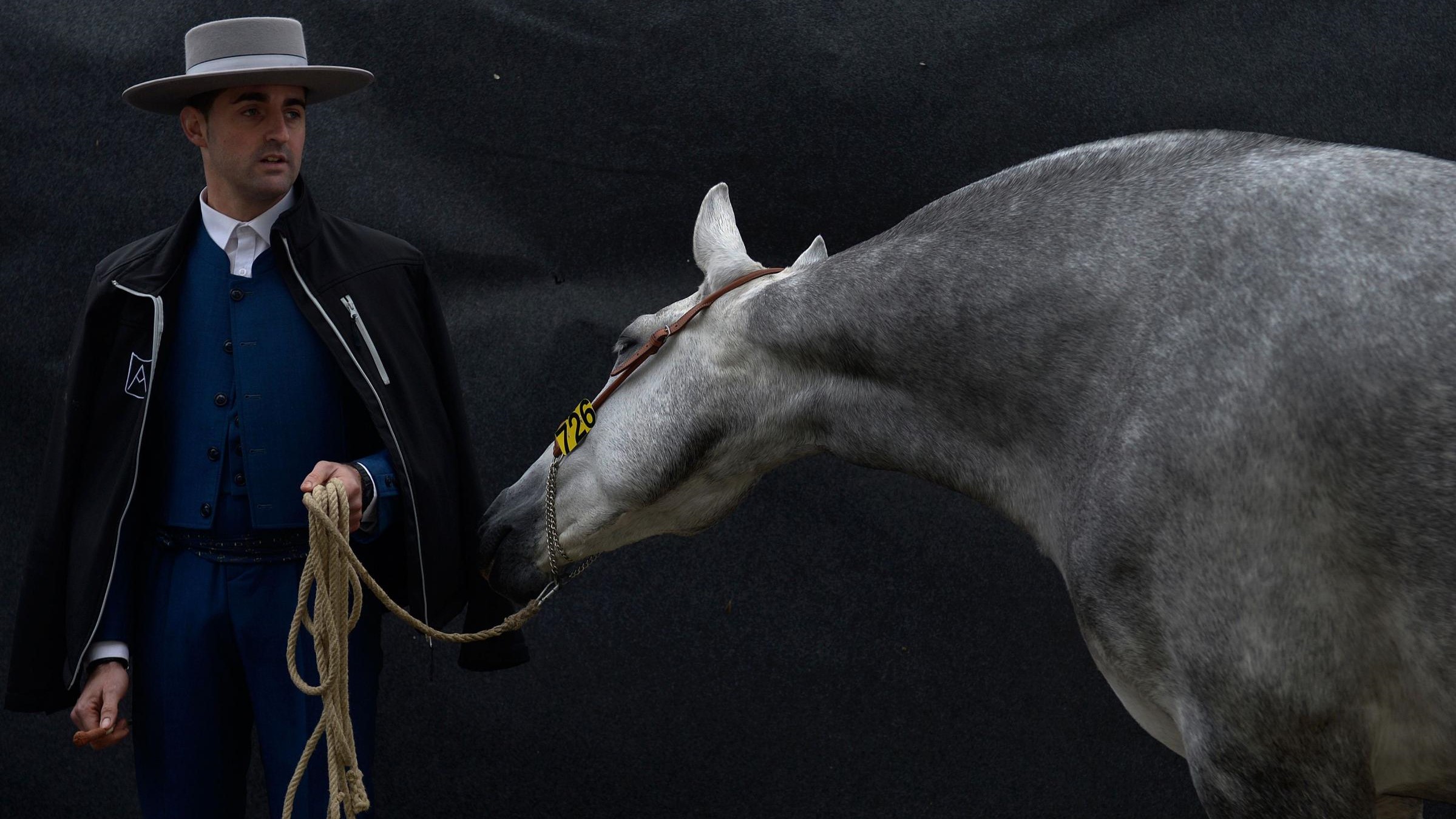 Son tutti uguali i cavalli del mondo, se hai lo zuccherino in tasca lo sanno: anche al Sicab