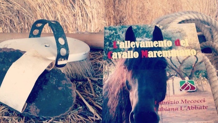 Maremma li fece: i cavalli dei Butteri