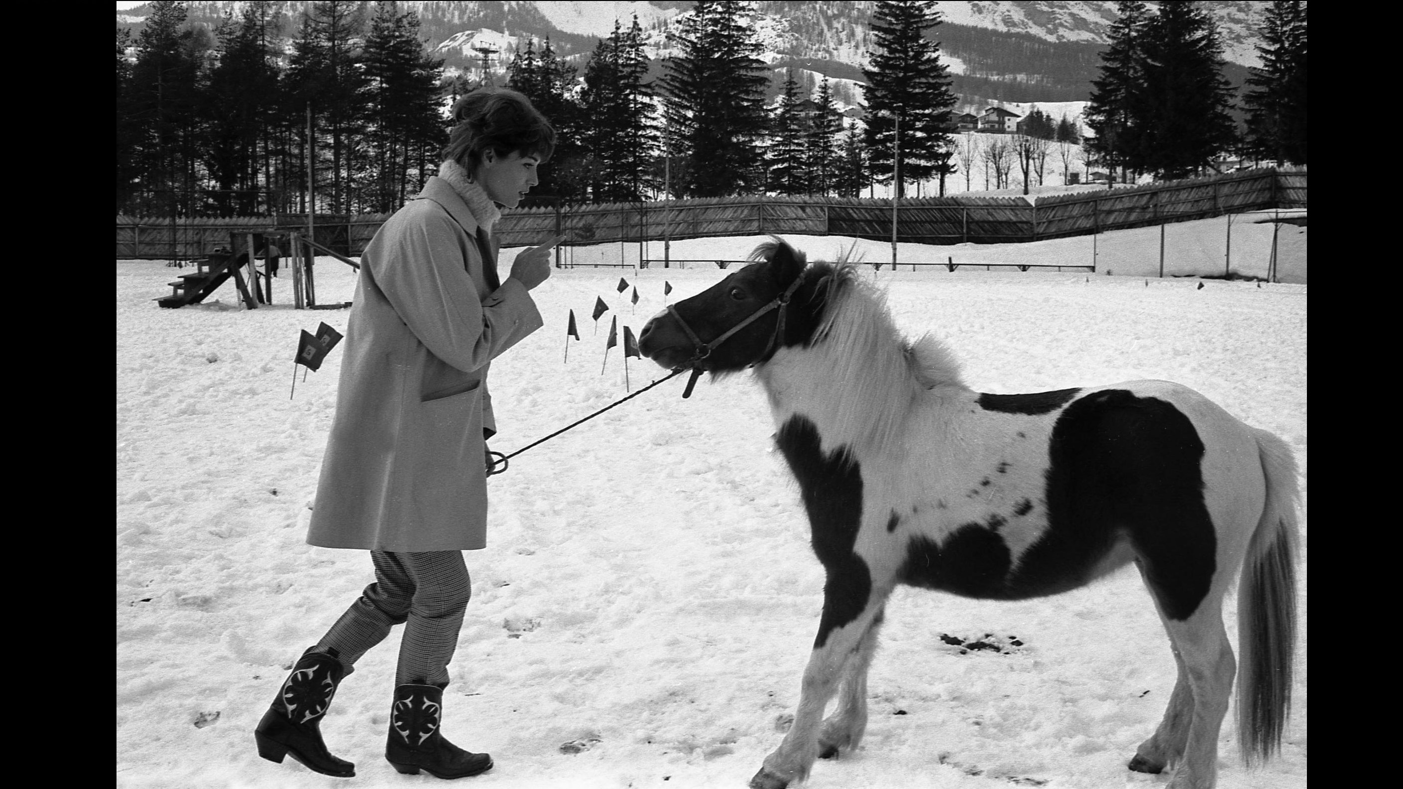 Pony, corsi, ricorsi & ankle boots