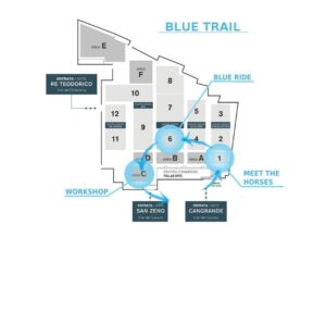 blue trail 300x287