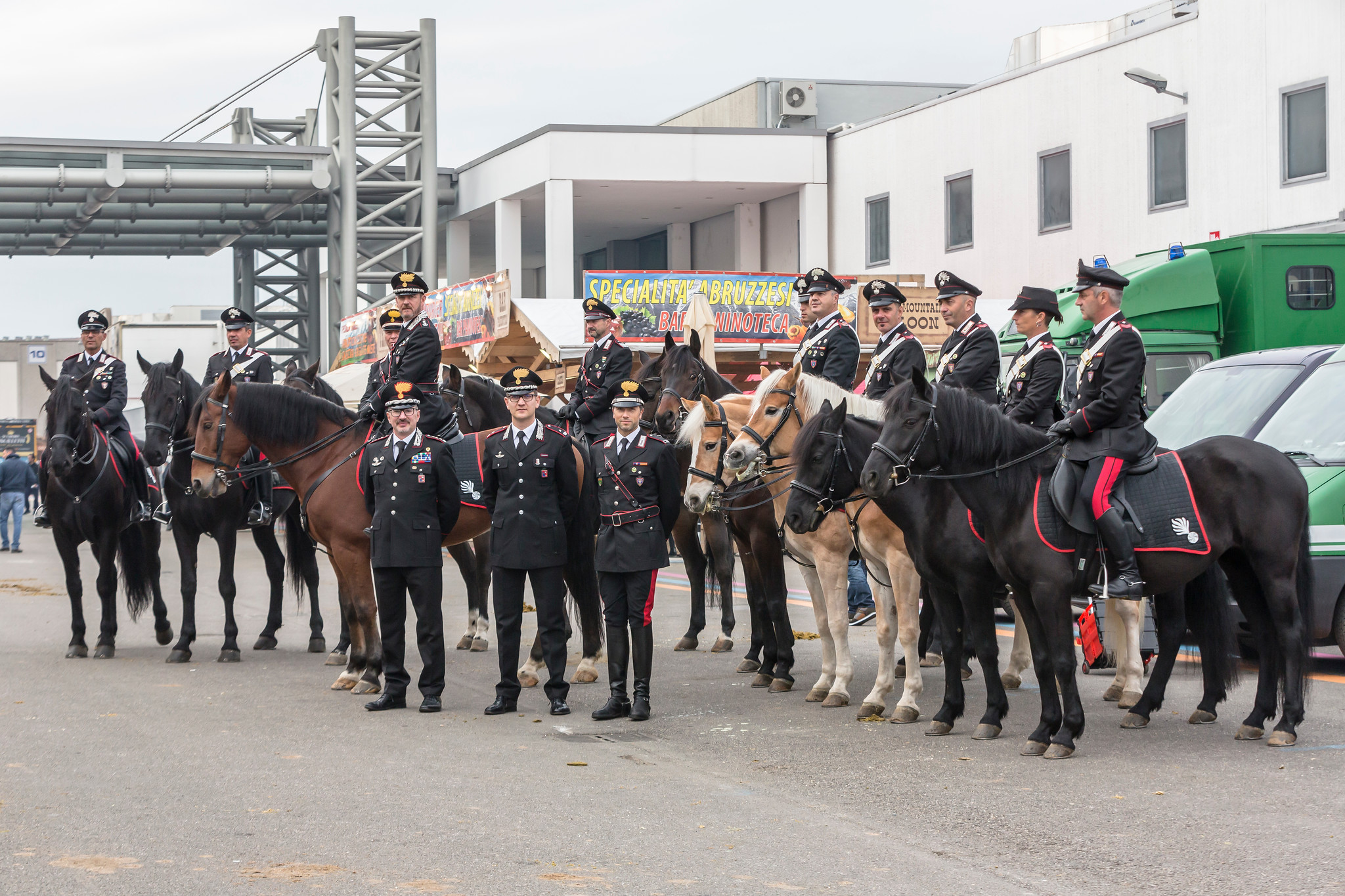 Tutti i cavalli dei Carabinieri, e un posto incantato da visitare: il Bosco della Fontana