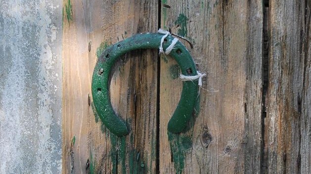 il cavallo del dottore