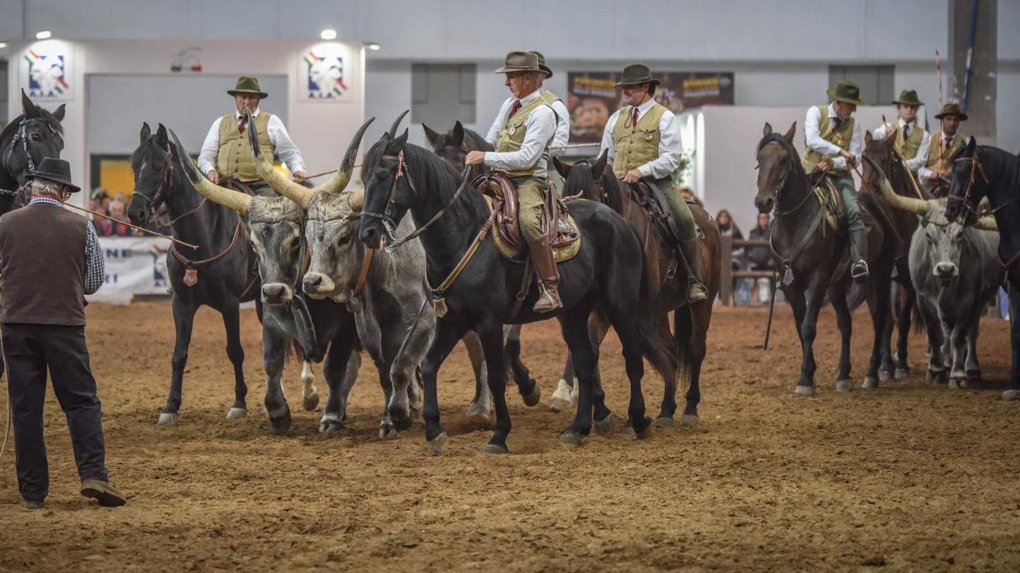 Maremma Regina: la Toscana sbanca il Gala Italiano
