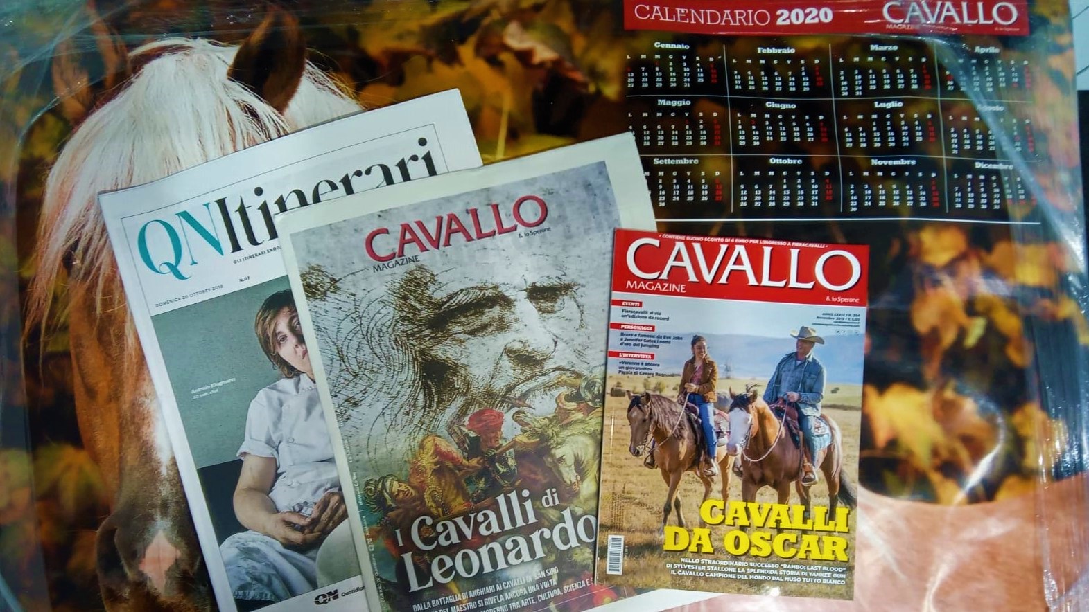 Passate a trovarci a Fieracavalli Verona? vi aspettiamo!