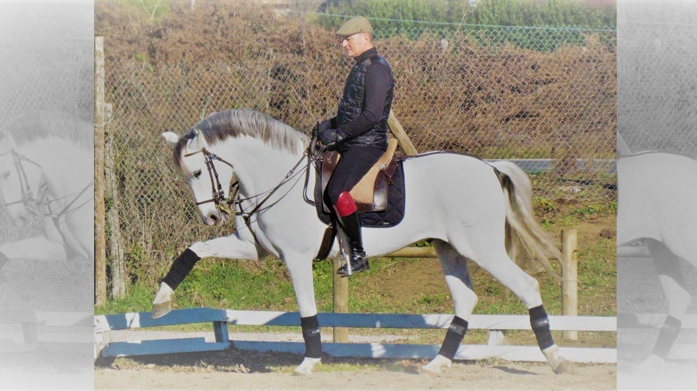 Cavallo Magazine in Fieracavalli: Giovanni Battista Tomassini e l’arte equestre italiana