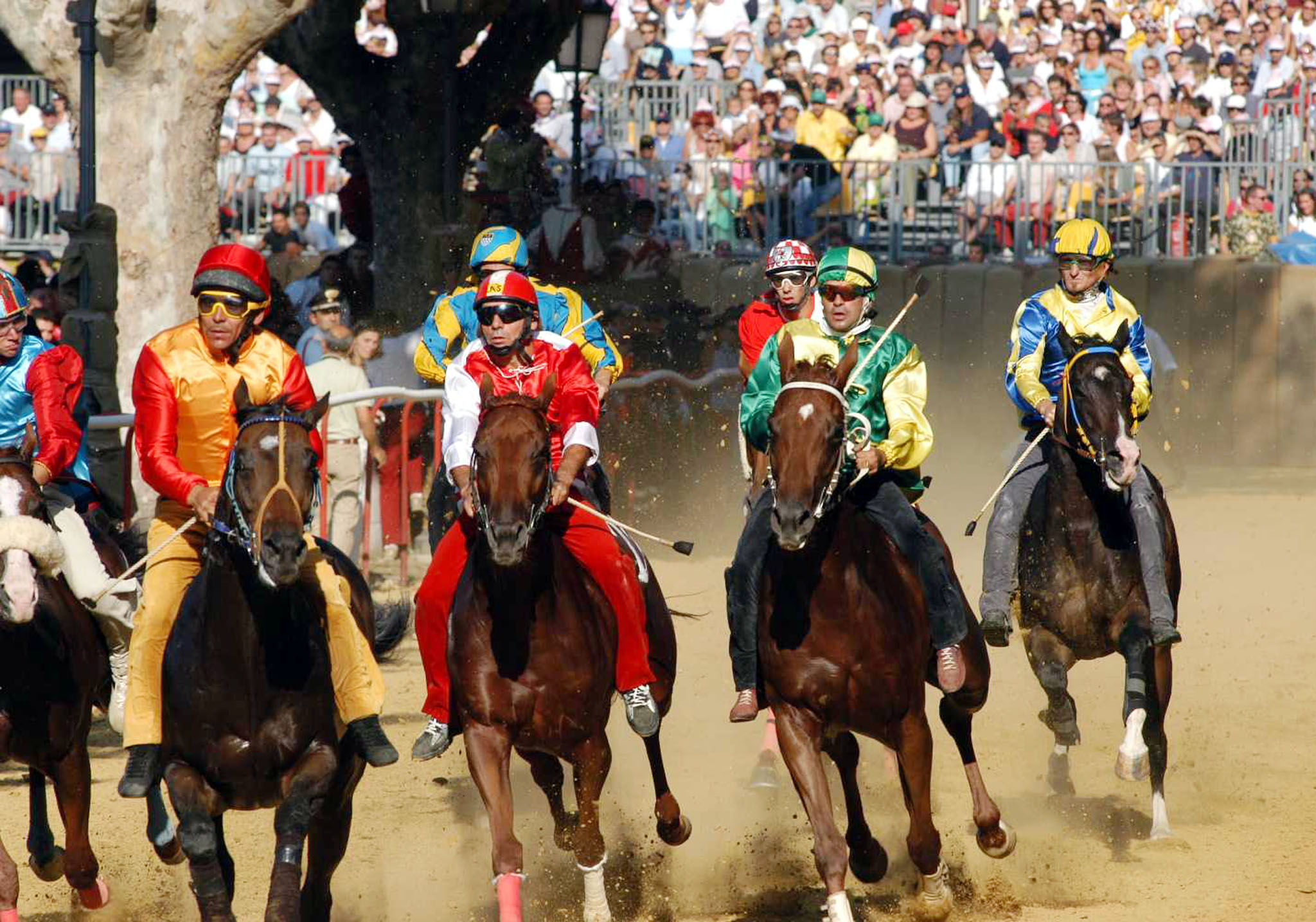 Palio di Asti: nessun doping nel 2014, tutti assolti