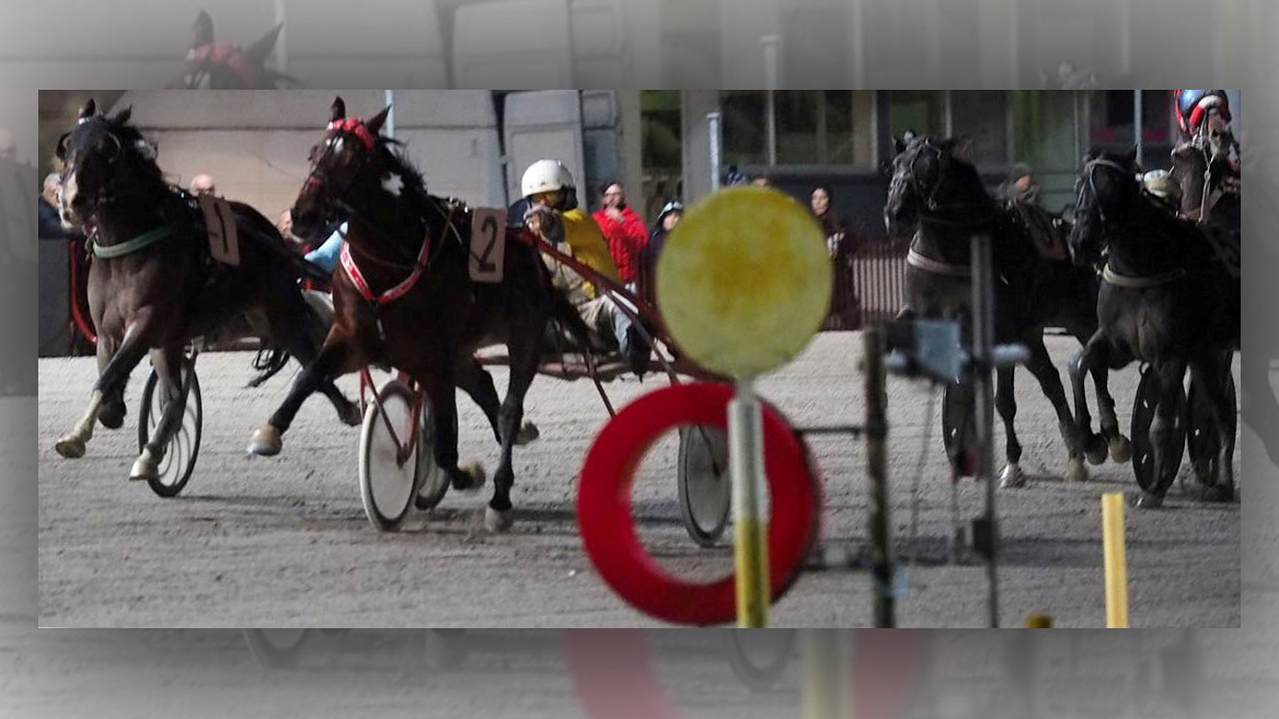 Fotofinisch Gran Premio di trotto Campionati italiano Finale dei 4 anni Bologna ©Hippogroup Bologna