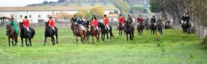 butteri volpi e hunt 300x94