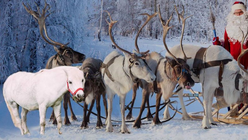 I sogni son desideri: e per Natale, a volte, si avverano