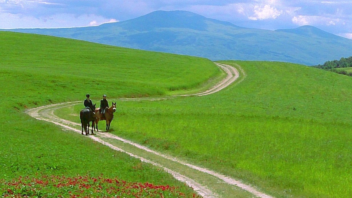 Perché l’equitazione di campagna non è una passeggiata!