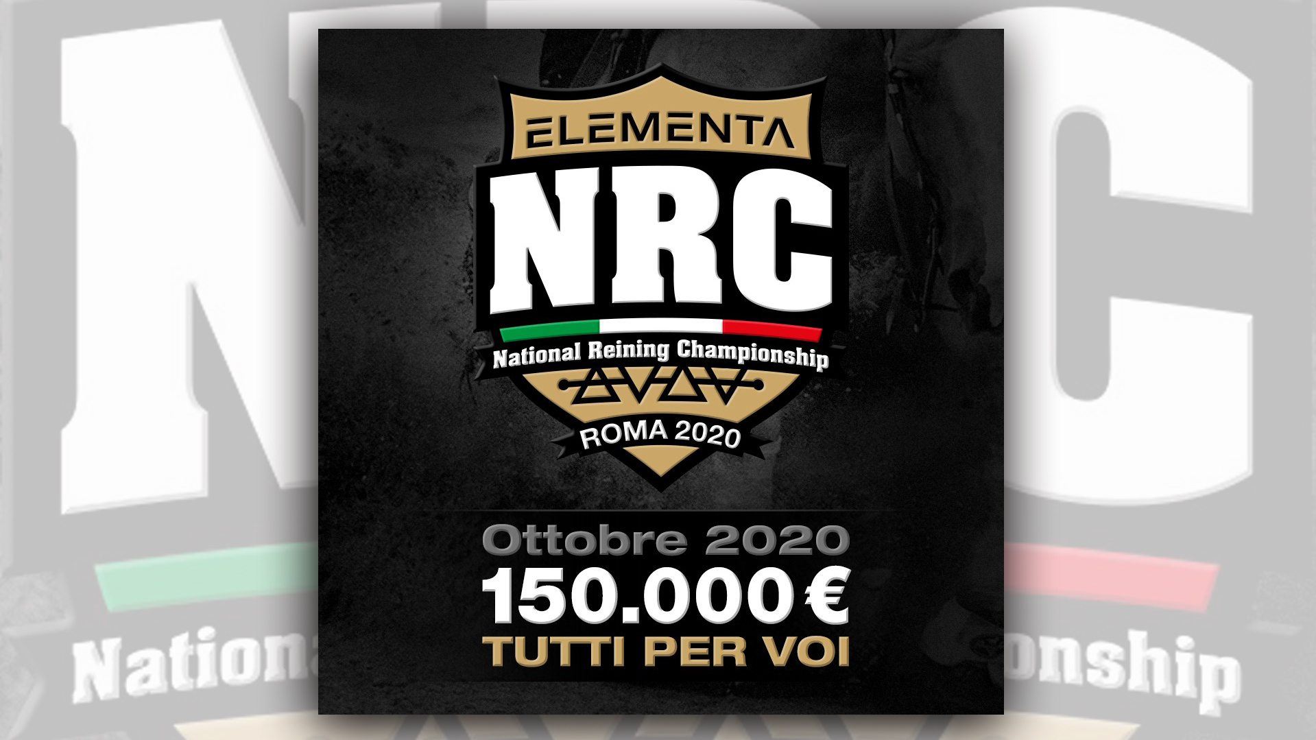 Elementa National Reining Championship: 150mila euro tutti per voi