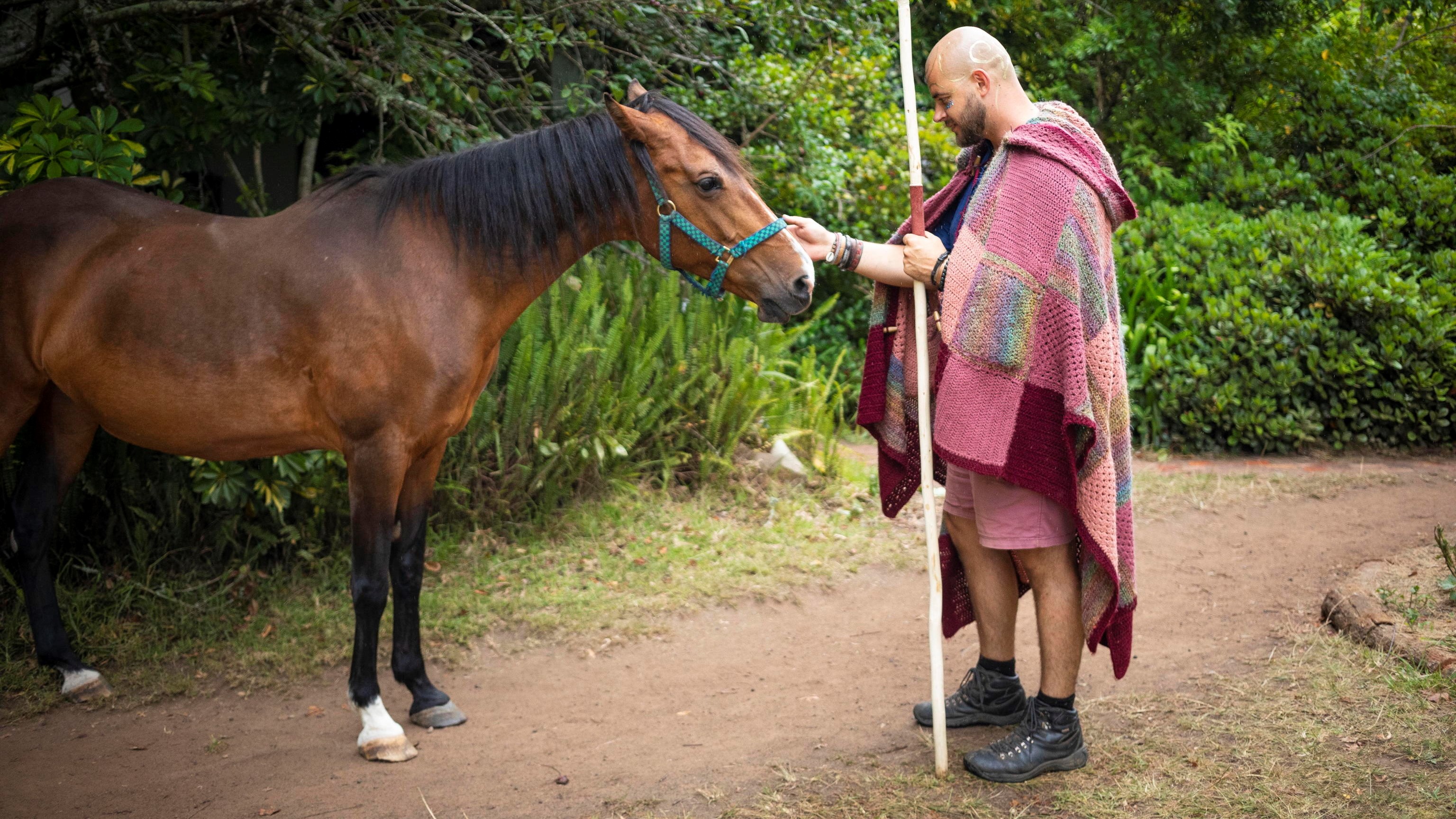 L’AfricaGrow festival e il suo cavallo: per cominciare il nuovo anno con energie positive