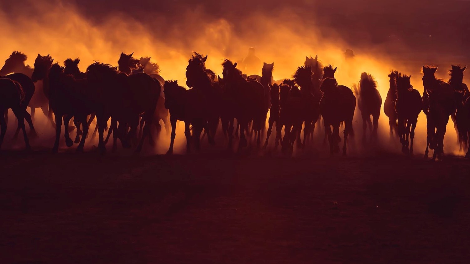 Cavalli a Roma, al via dal 13 al 16 febbraio 2020 con la firma Veronafiere