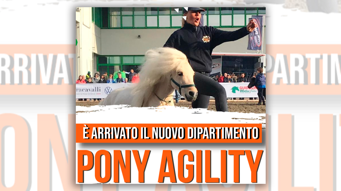 Engea presenta il dipartimento Pony Agility