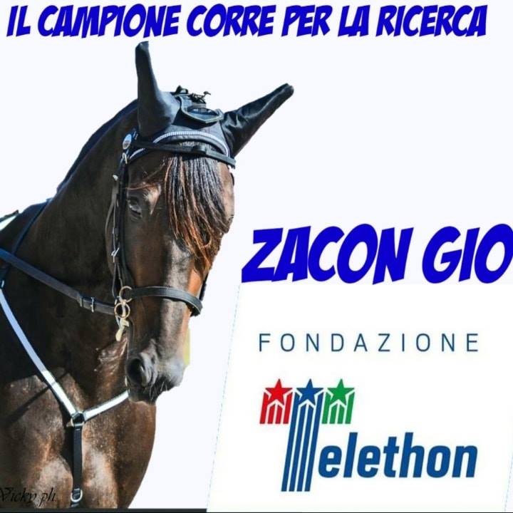 Ippica: Zacon Gio, il campione di trotto testimonial Telethon 2020