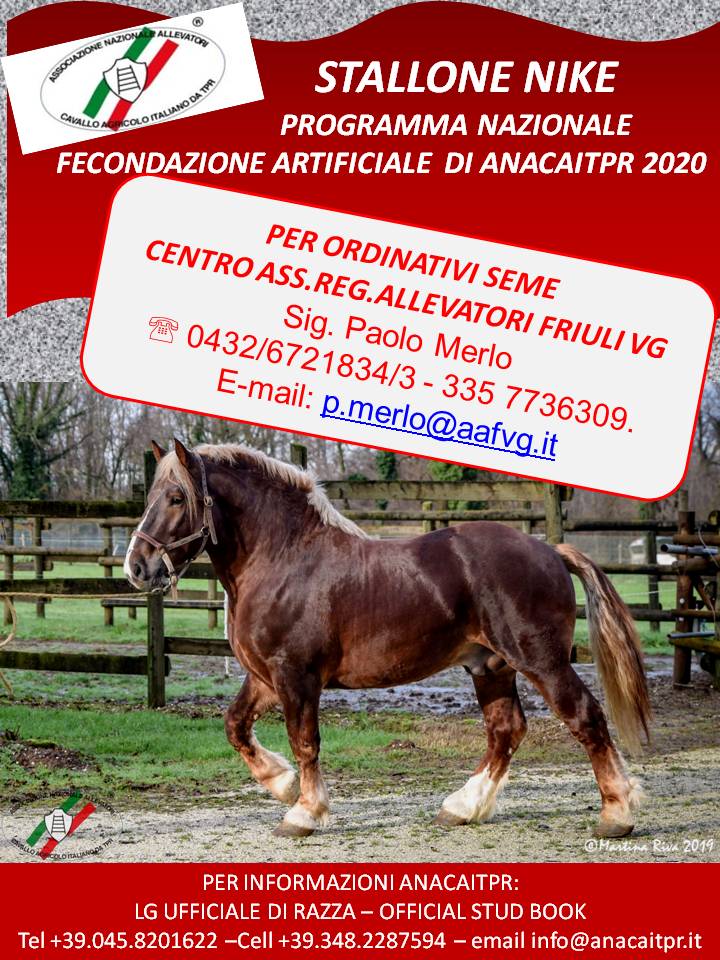 Diapositiva1