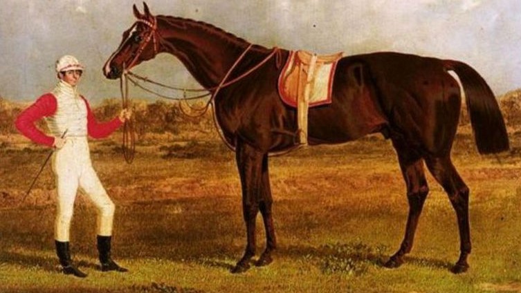 Purosangue, il cavallo perfetto