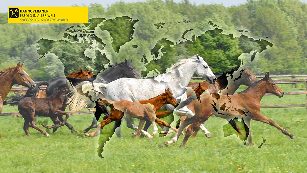 Verden Auction in April