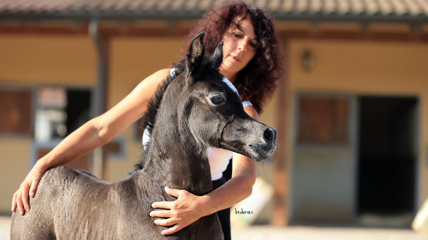 Da Codogno, i cavalli al tempo del Coronavirus