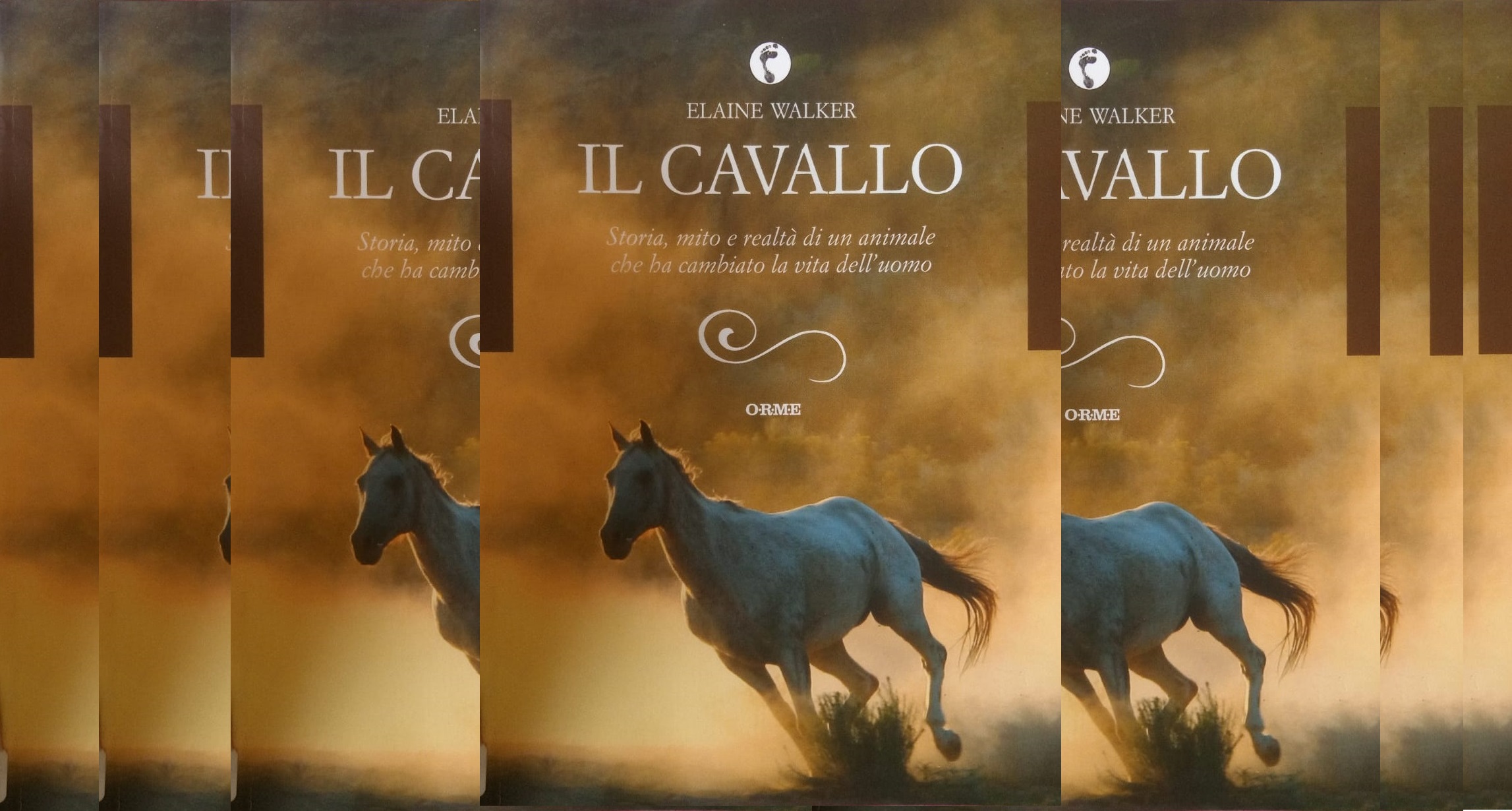 Libri: sulle orme dei cavalli con Elaine Walker