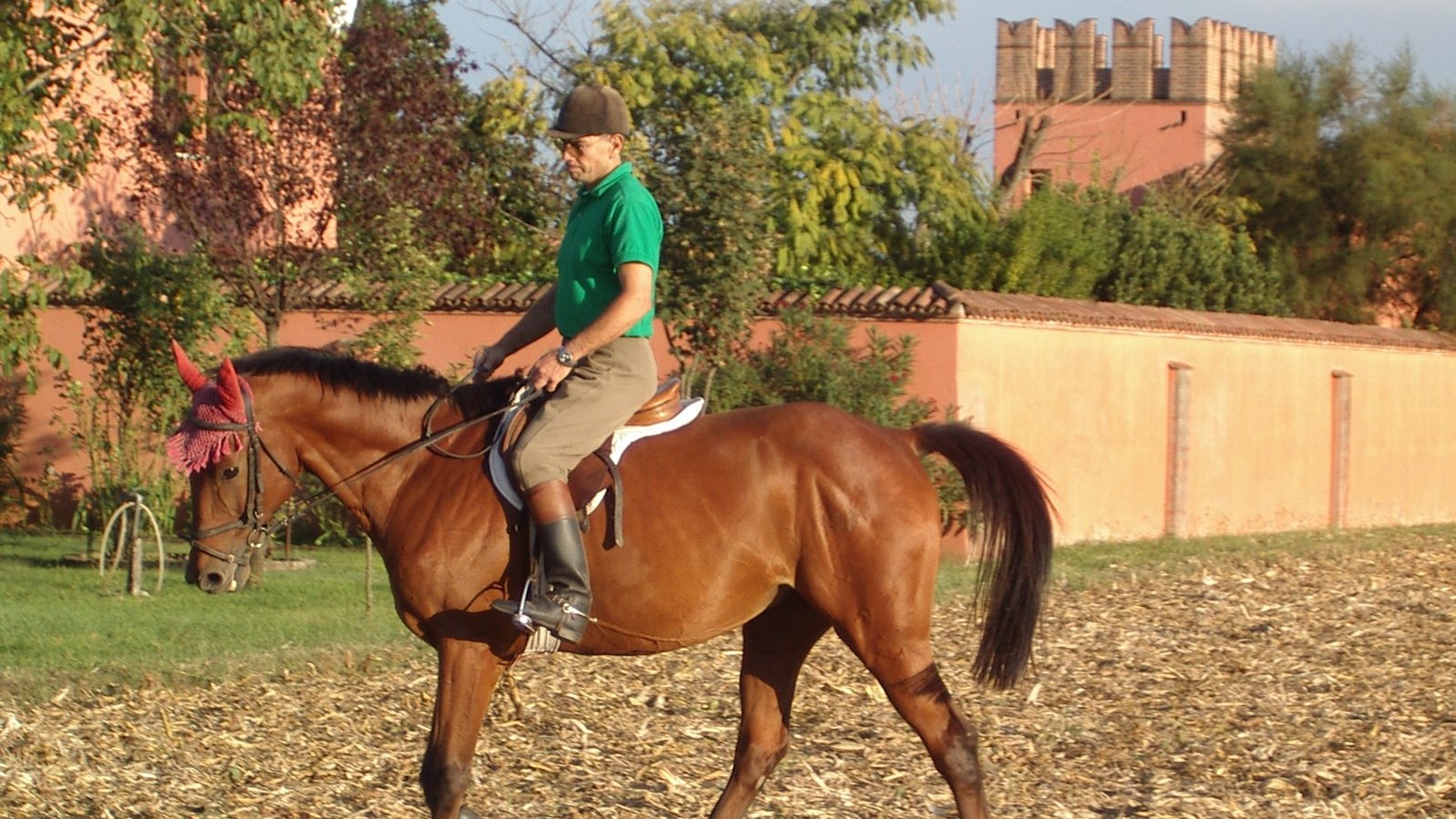 Luigi Masotto, che seminava la passione per i cavalli e per il dressage