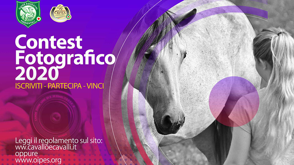 Engea: fotografiamo cavalli