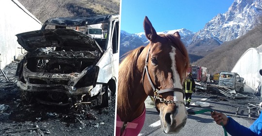 Gran Sasso: il van brucia, lui riesce a mettere in salvo i due cavalli che trasporta