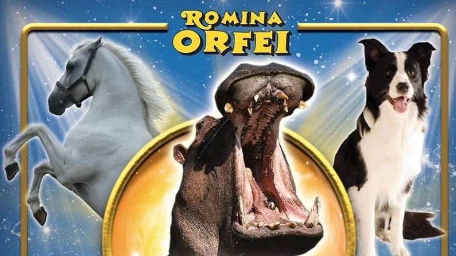 Il cuore grande di San Nicola la Strada: tutti in soccorso degli animali del circo di Romina Orfei