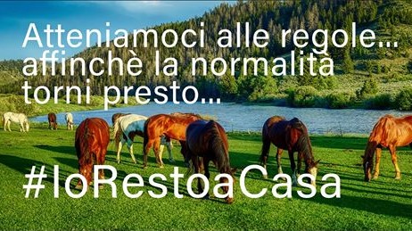 Le iniziative Engea per aiutare i circoli ippici nell’emergenza Coronavirus