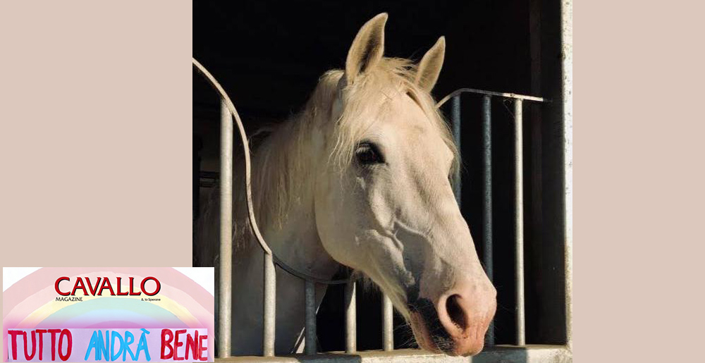 Tutti a scrivere con Cavallo Magazine: Lucrezia e Carrow Contiki