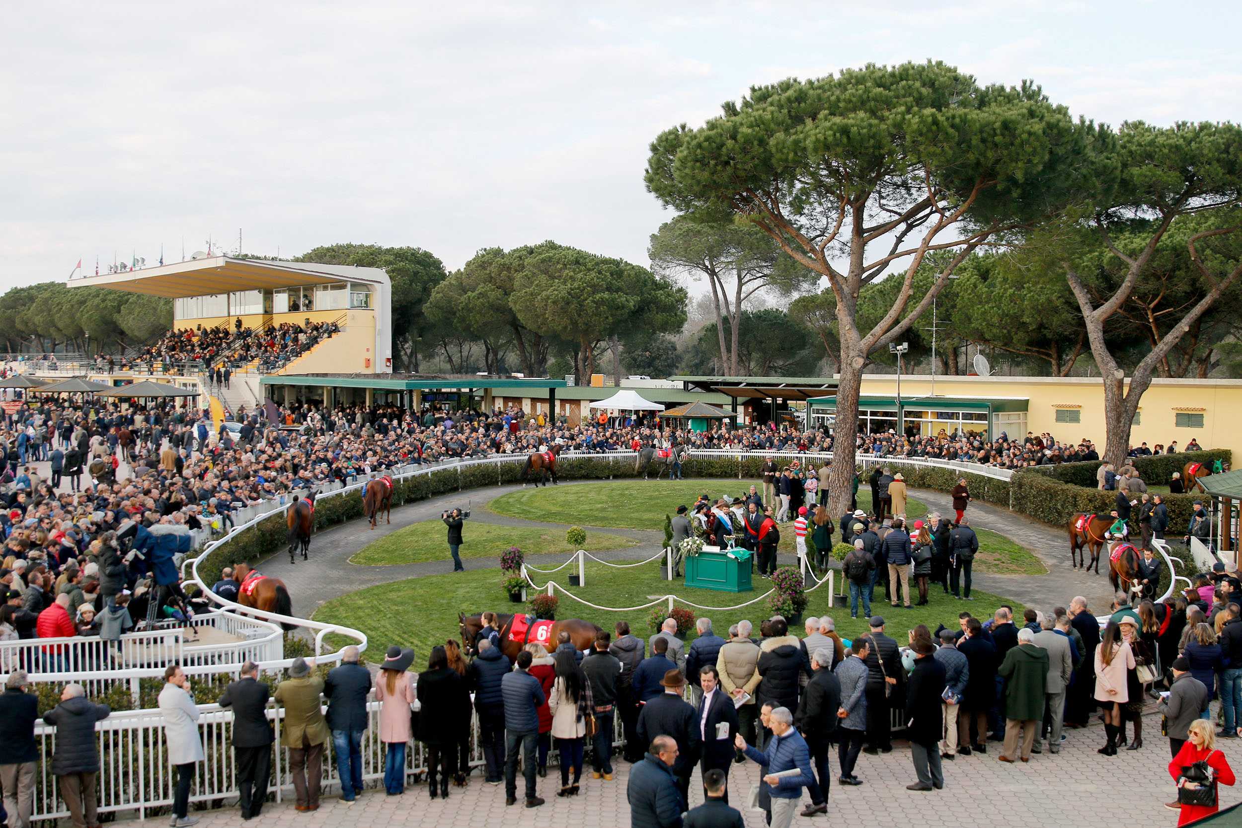 Marzo, un mese di galoppo all’Ippodromo di San Rossore