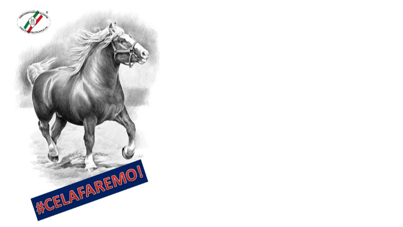Anacaitpr: gli uffici sono operativi anche al tempo del Covid-19
