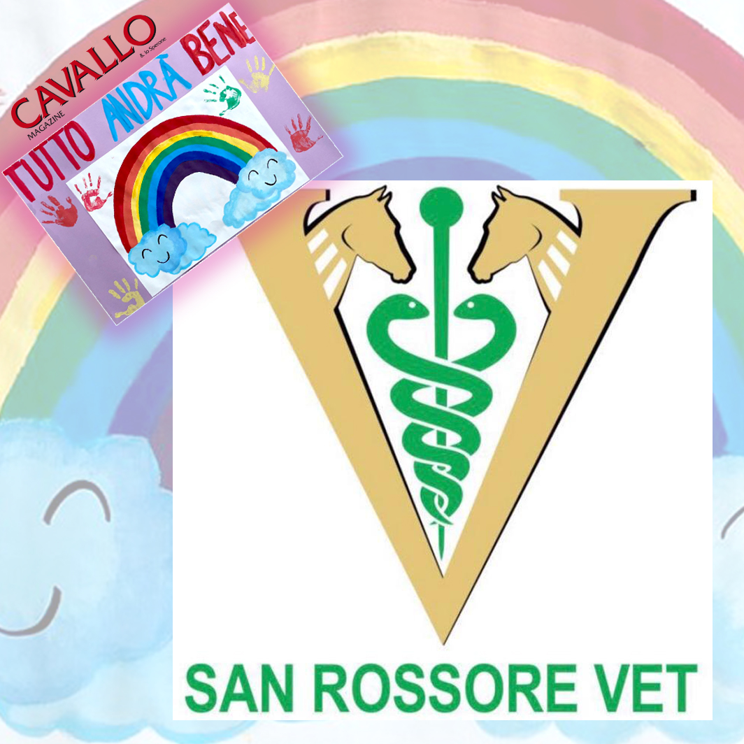 instasanrossorevet