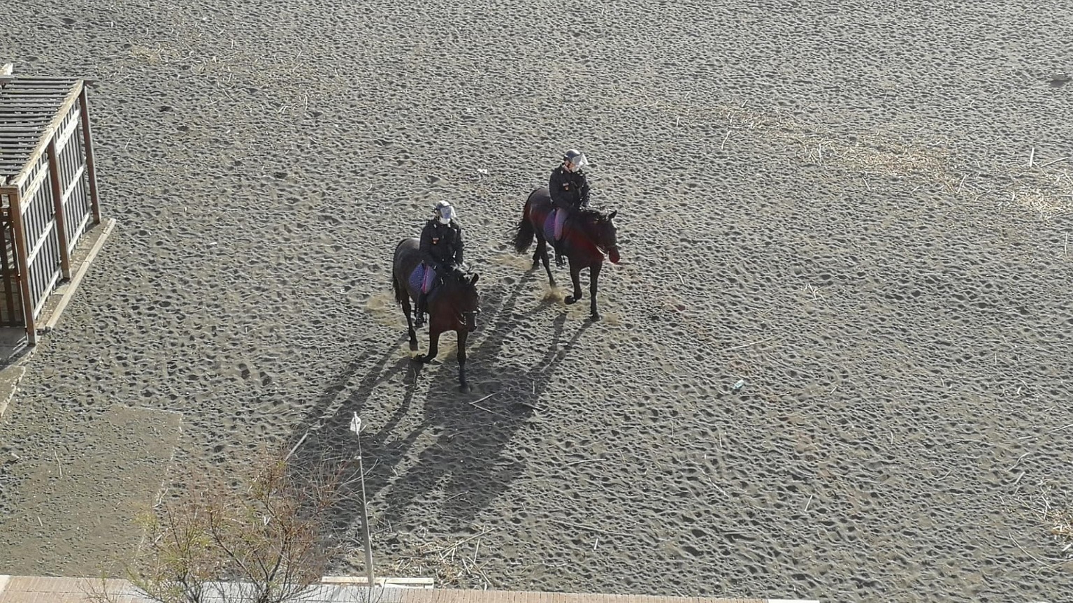 A Ladispoli anche la Polizia a cavallo per controllare il rispetto delle regole