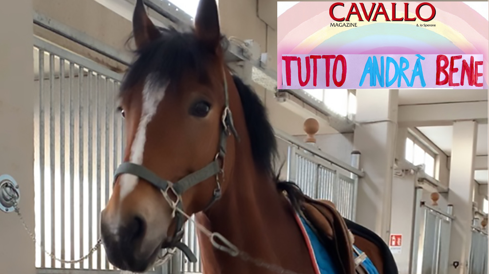 Tutti a scrivere con Cavallo Magazine:  Sabrina e Mirò