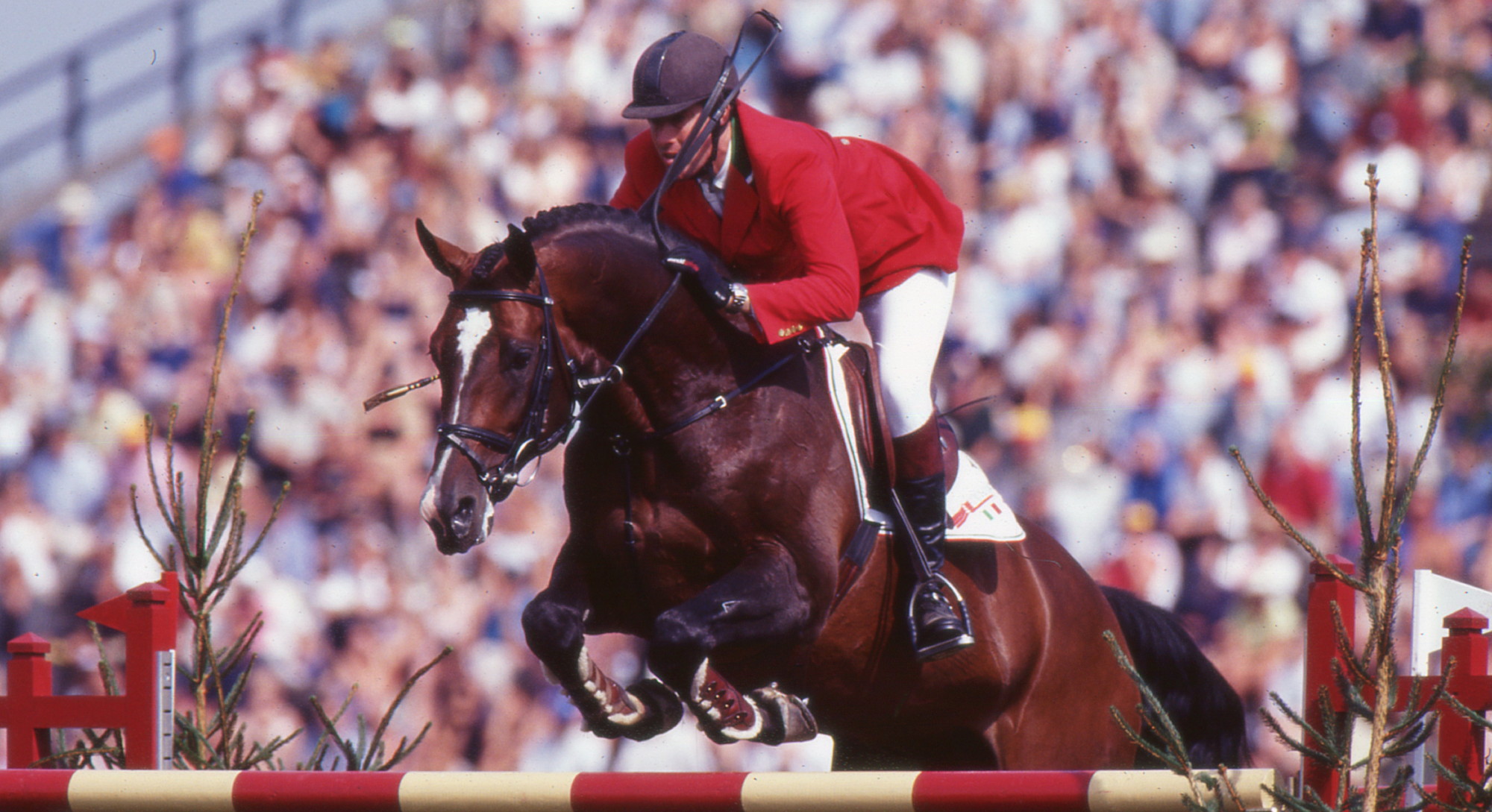 Jerry Smit, italiano del mondo