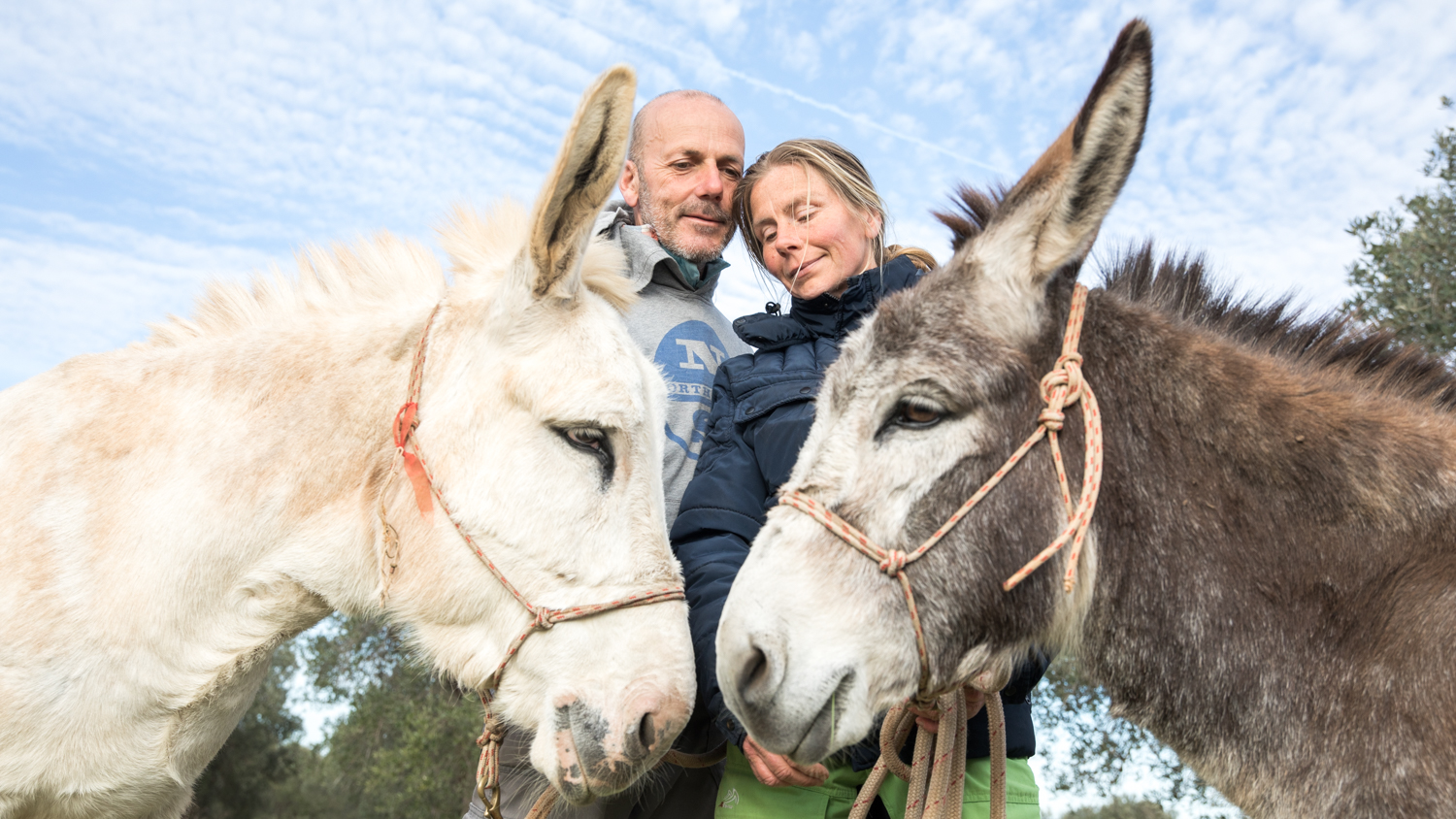 Helena, Carlo e i loro asini: un attimo, stiamo arrivando!