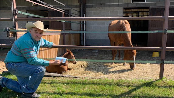 Sicurezza e comfort per il cavallo con Badi Farm