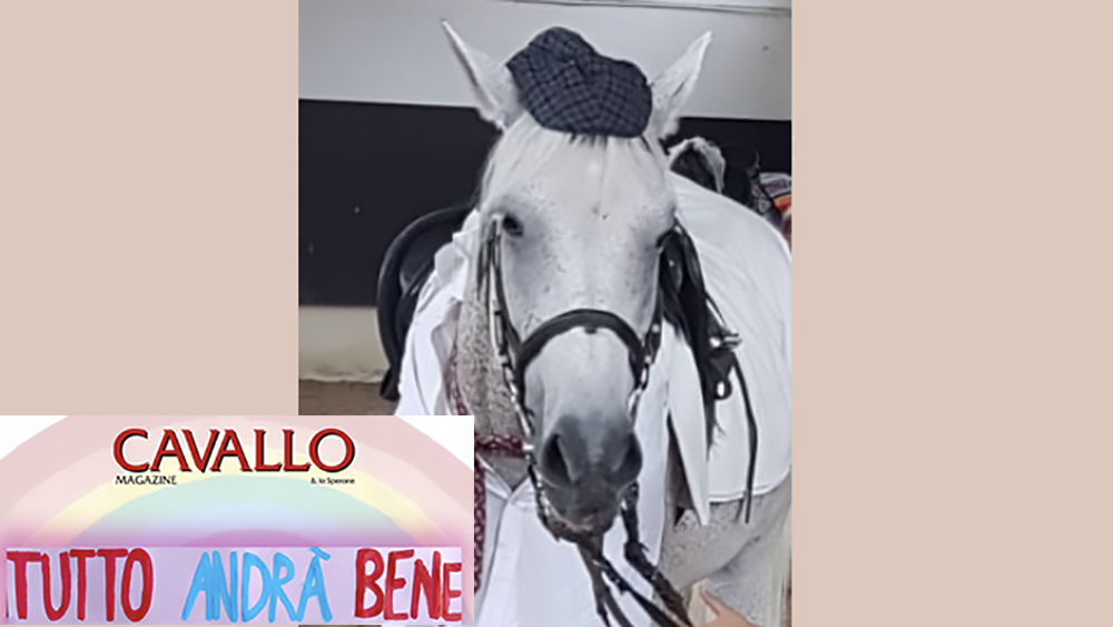 Il testo di Edoardo