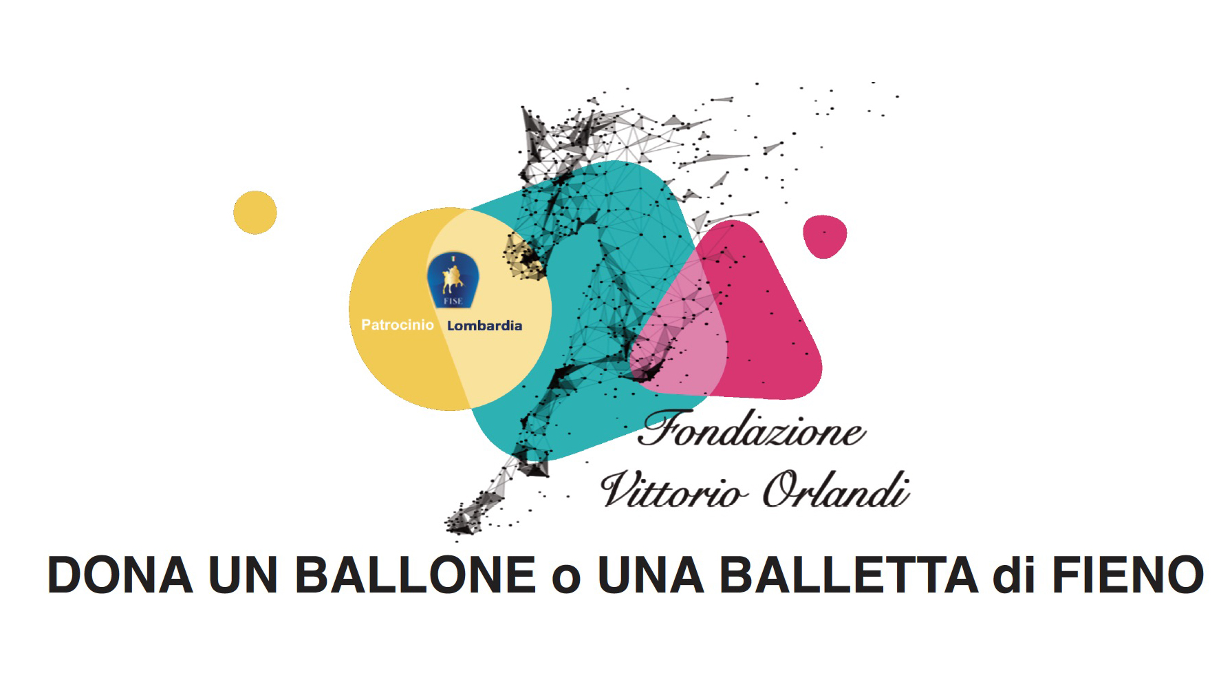 Dona un ballone o una balletta di Fieno, l’iniziativa di Fise Lombardia