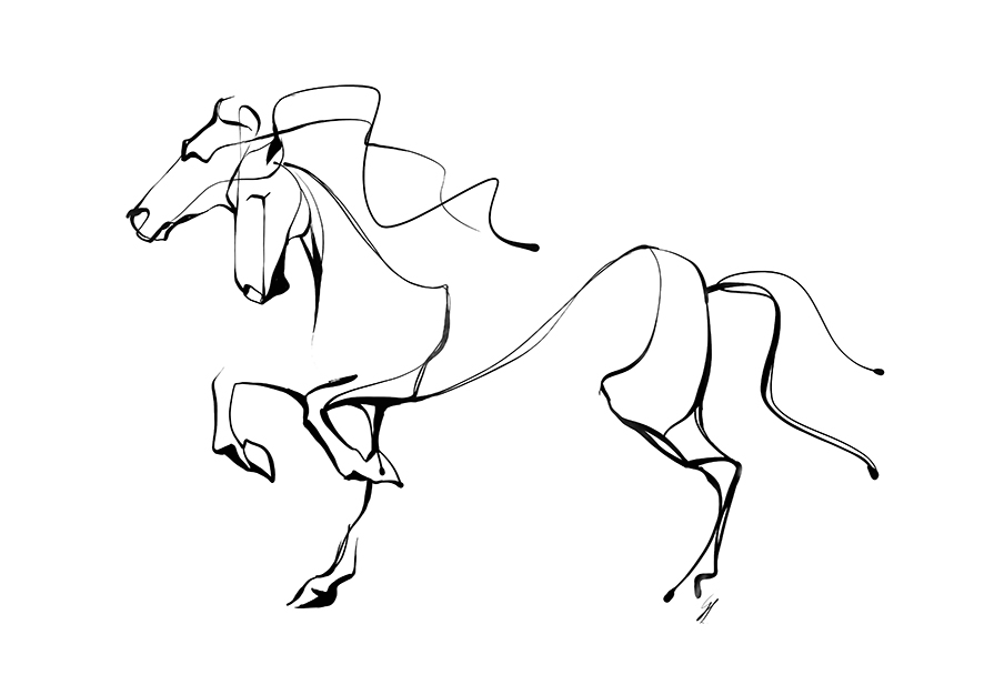 cavalliwhite