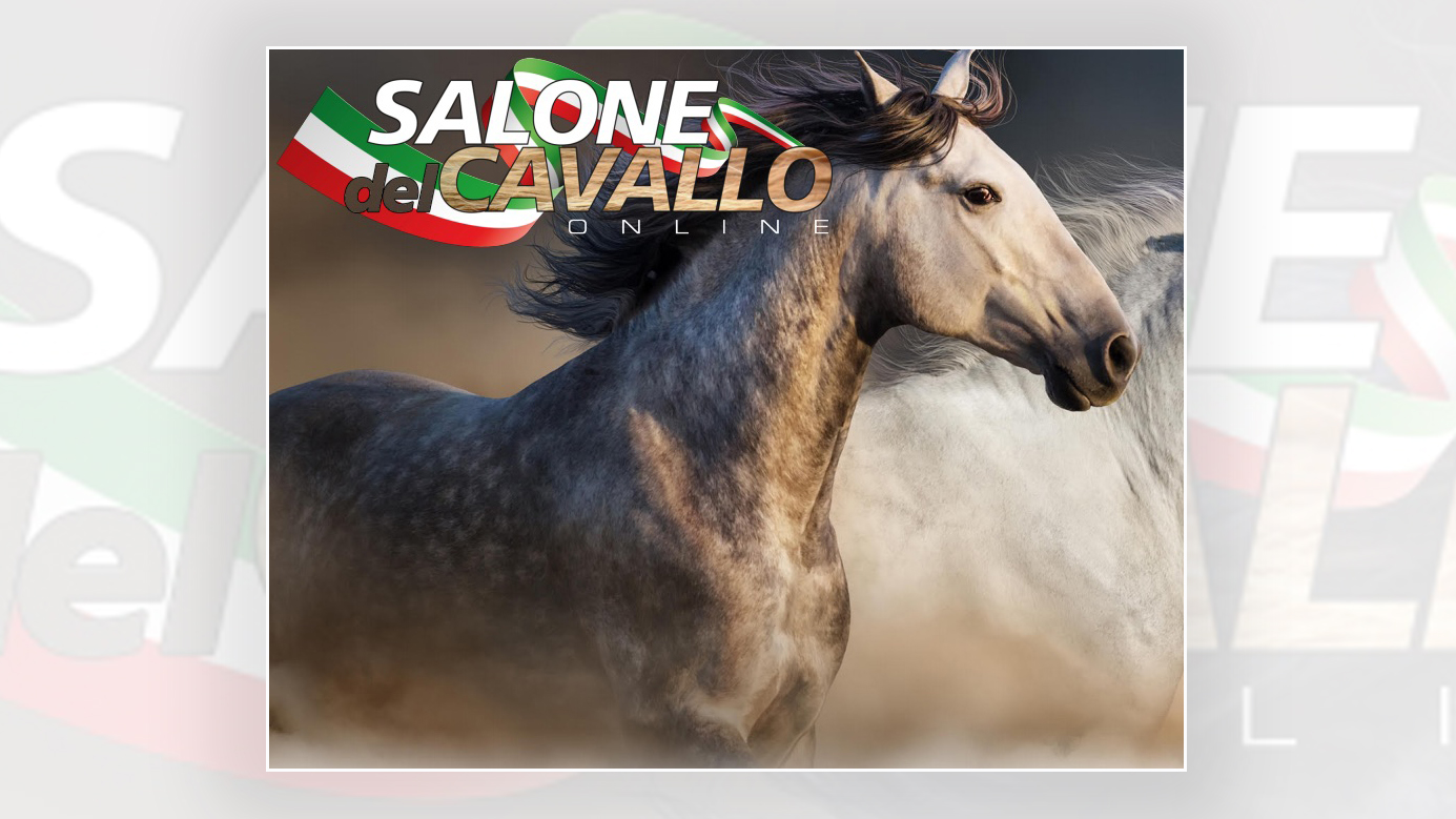 Live Instagram: 28 aprile ore 17:00 Giancarlo Doardo racconta "Il salone del Cavallo 2020"