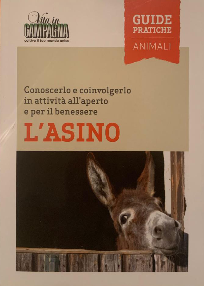 guidaAsino