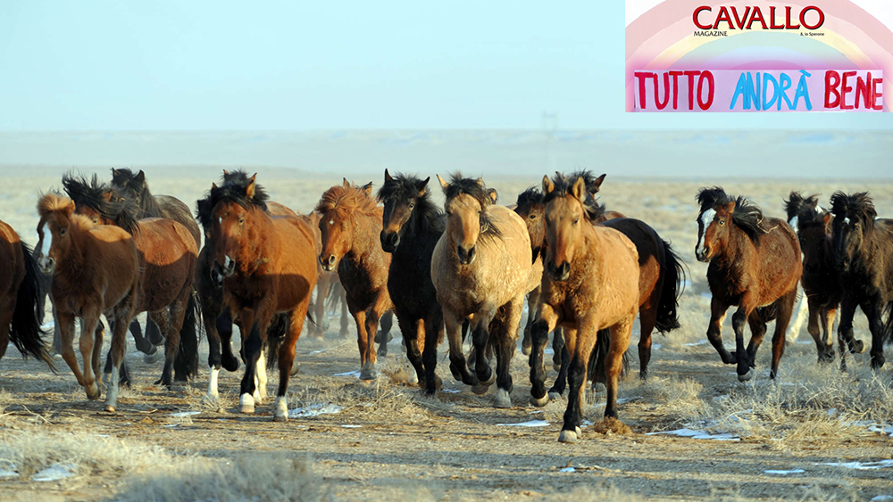 Tutti a scrivere con Cavallo Magazine: la poesia di Natascia